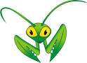 mantis