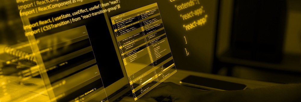 Custom Software Development Services: A 2026 Buyer’s ROI Guide